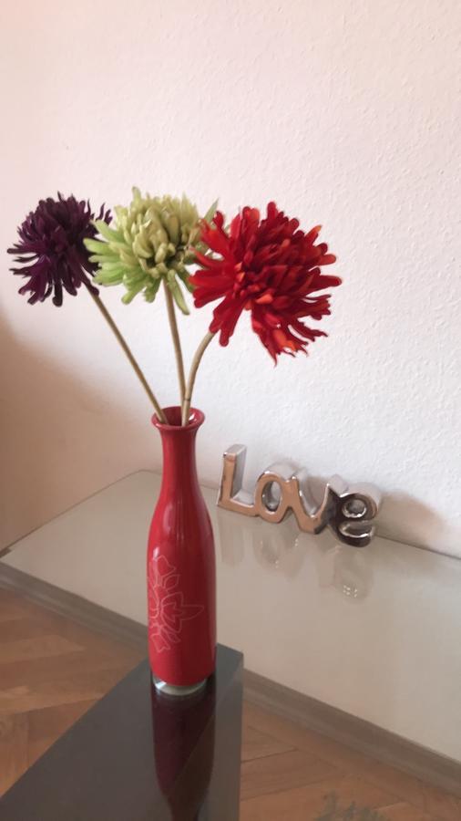 Appartamento Belle *